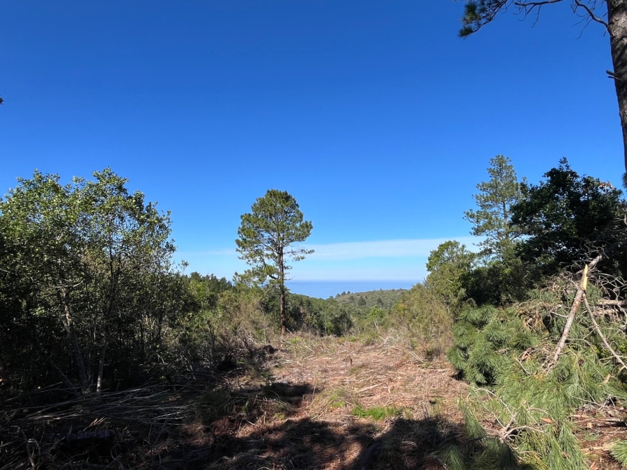 Commercial Property for Sale in Plettenberg Bay Rural Western Cape